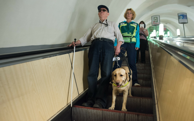 It's International Guide Dog Day on April 28th | Northland Animal Hospital Sault Ste Marie, Ontario It's International Guide Dog Day on April 28th | Northland Animal Hospital Sault Ste Marie, Ontario