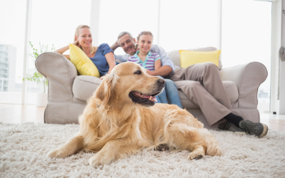 Change a Pet's Life Day! | Northland Animal Hospital Sault Ste Marie, Ontario Change a Pet's Life Day! | Northland Animal Hospital Sault Ste Marie, Ontario